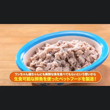 犬猫用ペットフード わんにゃん市場(いちば)コノシロ1袋30g 15袋セット