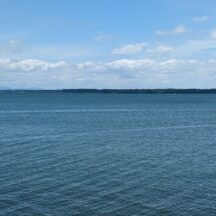 梅雨〜夏にかけて浜名湖で捕れる魚介類