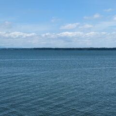 梅雨〜夏にかけて浜名湖で捕れる魚介類