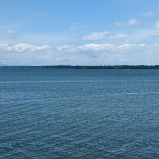 梅雨〜夏にかけて浜名湖で捕れる魚介類